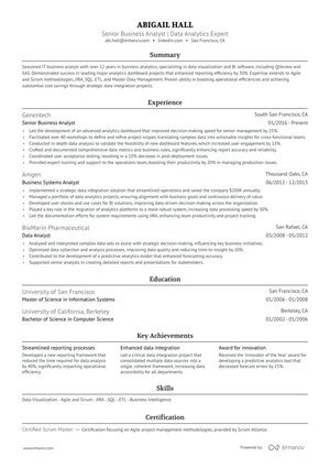 Classic Professional resume format preview