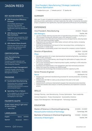Executive Dark Sidebar resume format preview