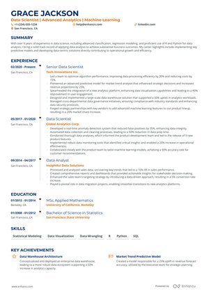Blue Timeline resume format preview